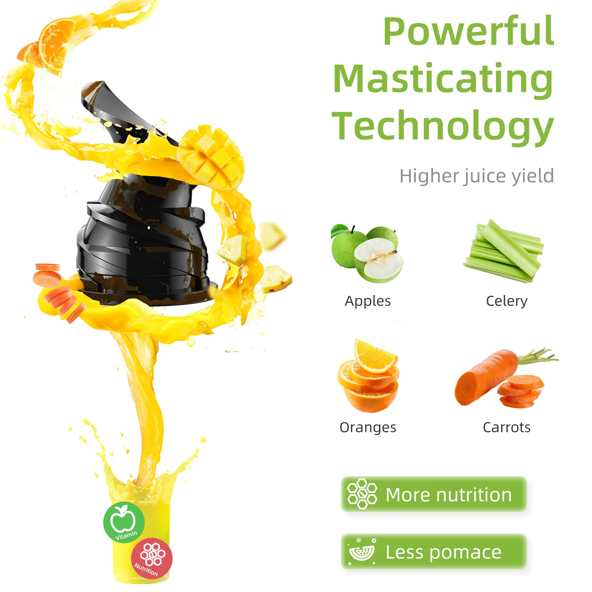 BioloMix Slow Masticating Juicer for Whole Fruits and Vegetables
