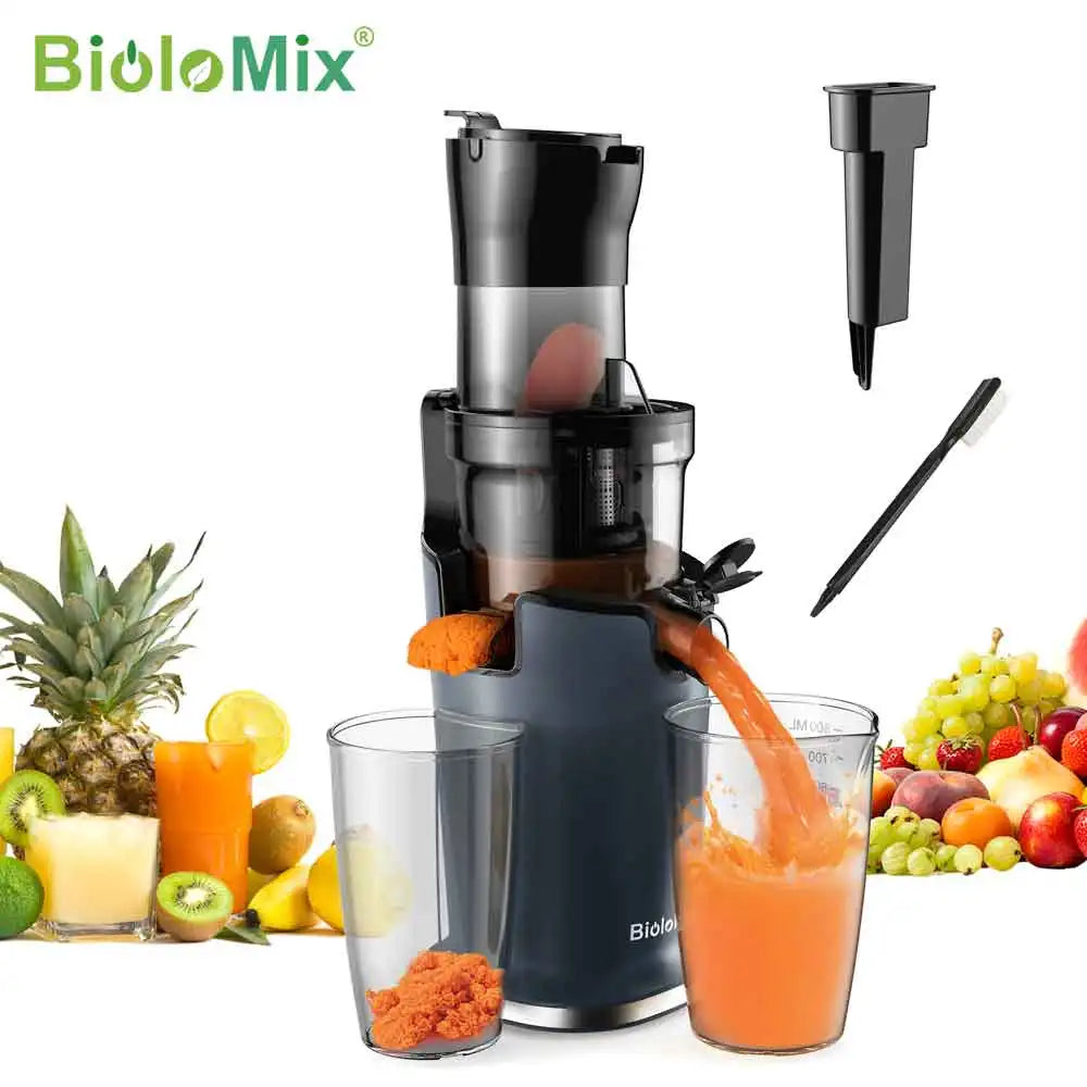 BioloMix Slow Masticating Juicer for Whole Fruits and Vegetables