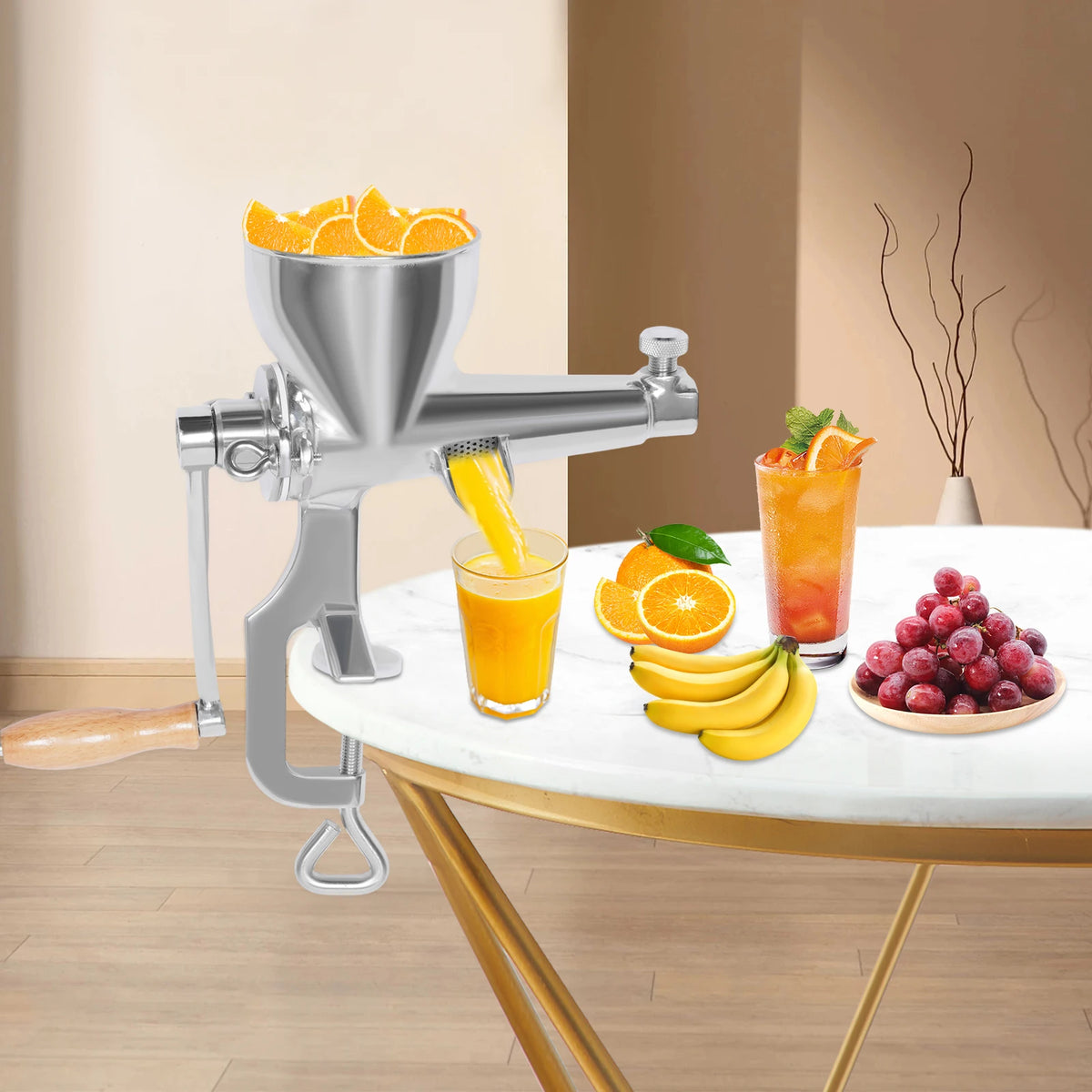 Bymaocar Manual Fruit Vegetable and Wheatgrass Juicer Press